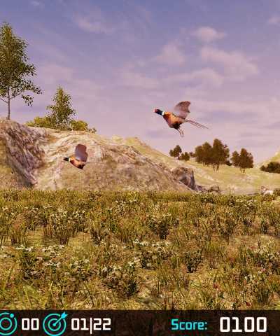 Ducks & Goose Hunter
